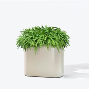 Jardinera Naka 80